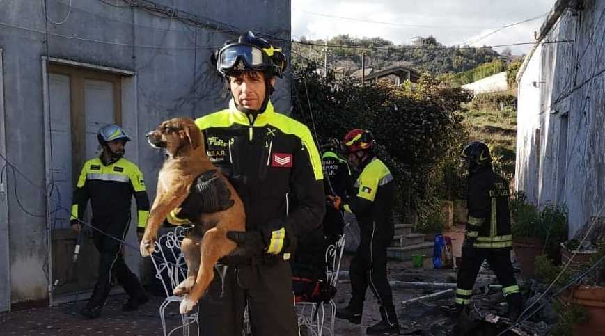 Terremoto: solaio crollato,vigili fuoco USAR salvano 3 cuccioli cane