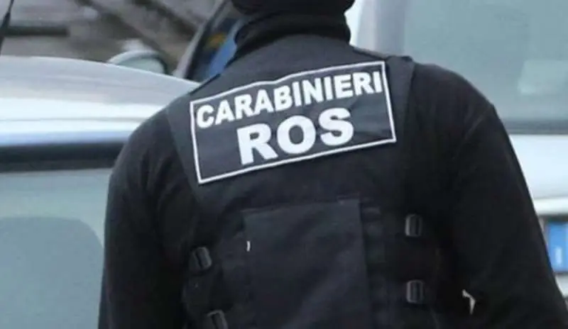 Terrorismo: blitz Ros, su Facebook propagandati martirio e jihad