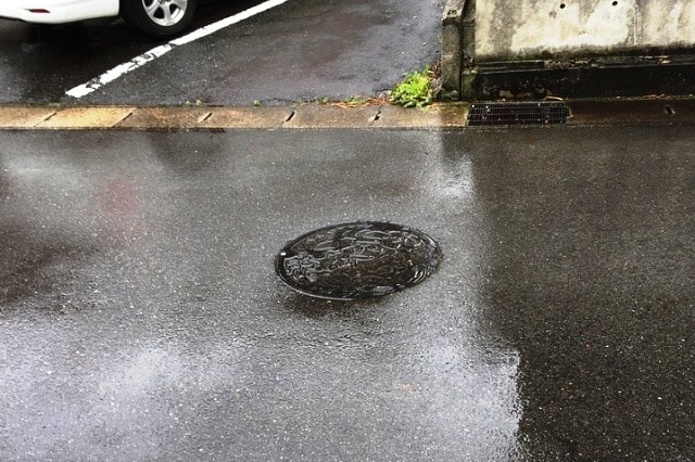 Codacons: a Catanzaro emergenza igienico sanitaria