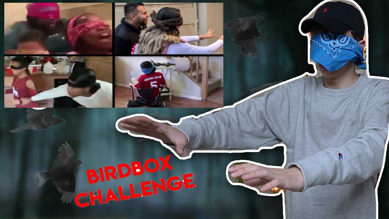 #Birdboxchallenge, il nuovo pericoloso "gioco mortale" trend social