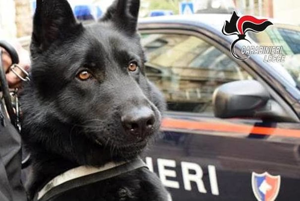 Droga: fiumi di cocaina nel Catanese, 14 arresti