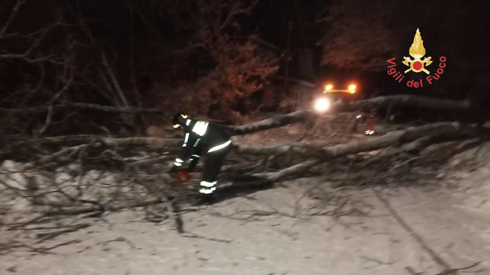 Albero crollato per la neve trancia cavi, i VVF lo fanno a pezzi