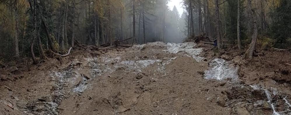Nuova frana a Val Masino, scuole chiuse e 39 evacuati