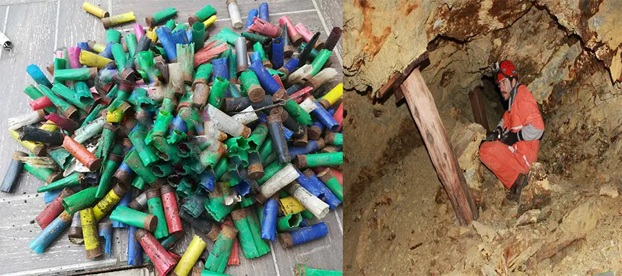 Al via il progetto “Puliamo i boschi”