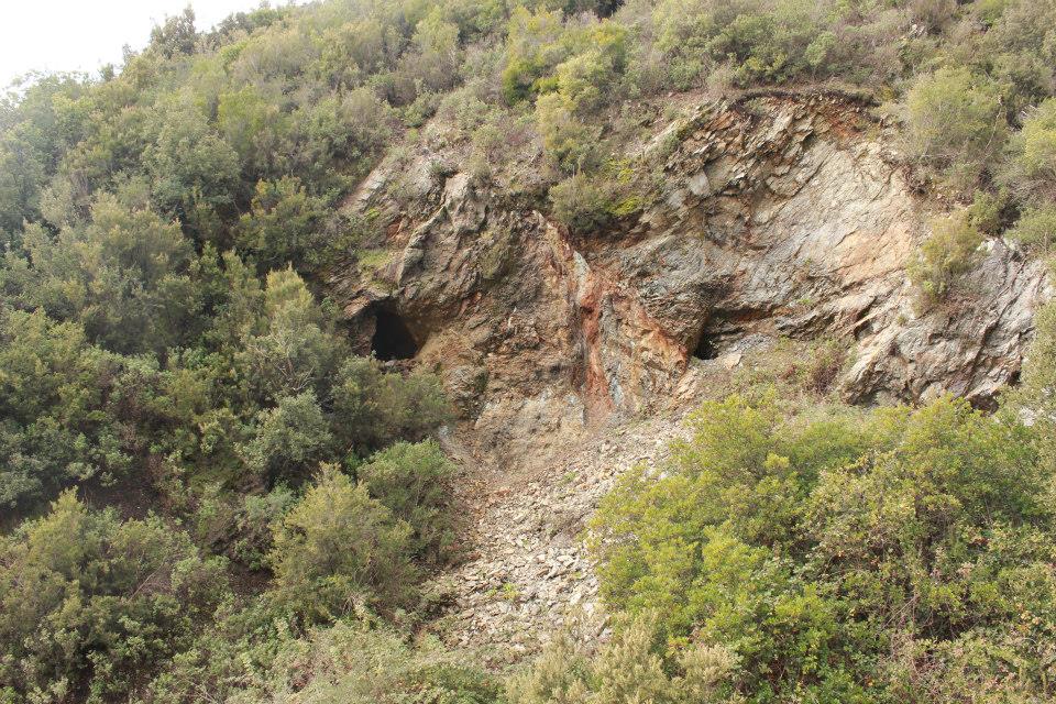 Al via il progetto “Puliamo i boschi”