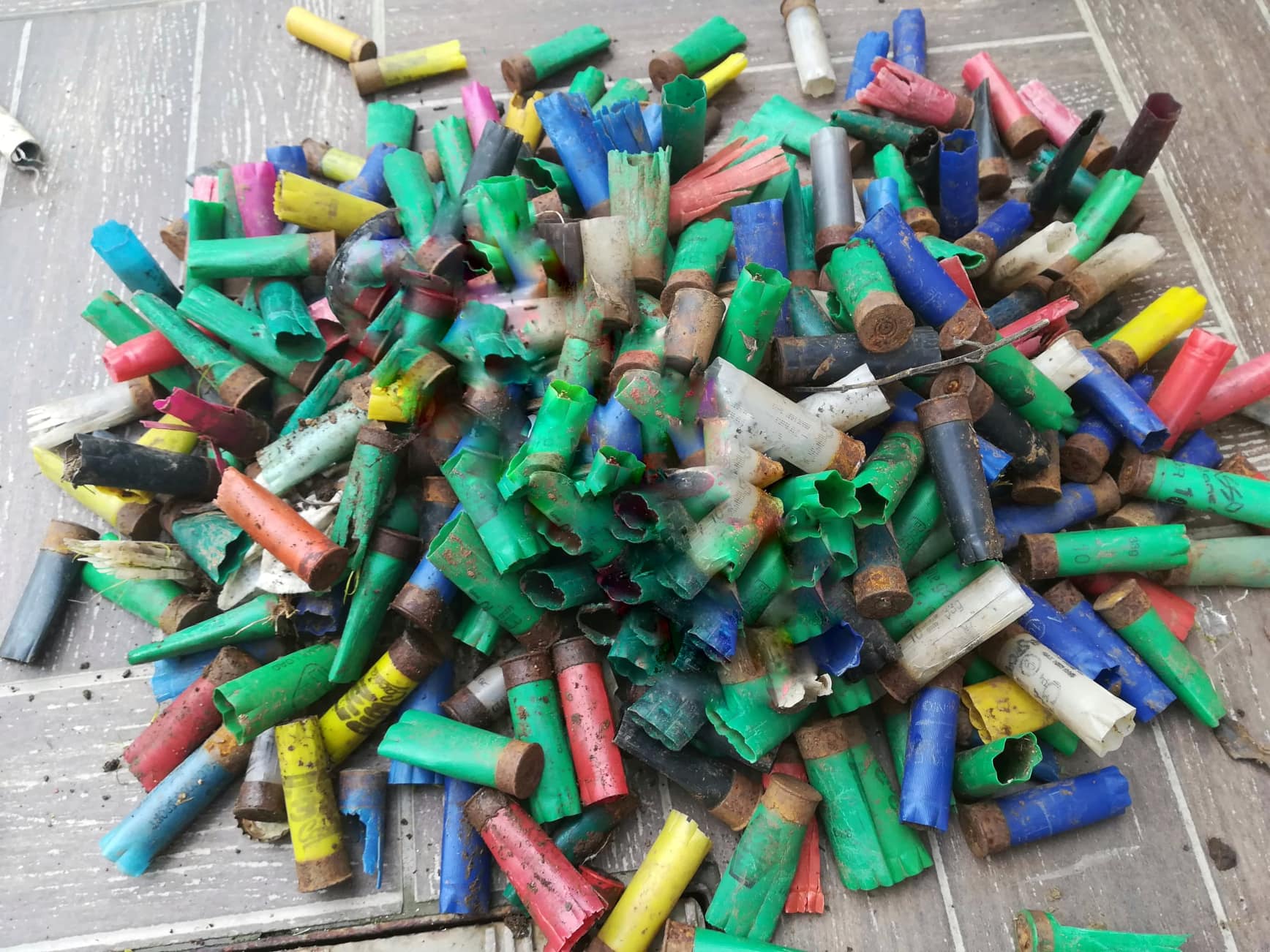 Al via il progetto “Puliamo i boschi”