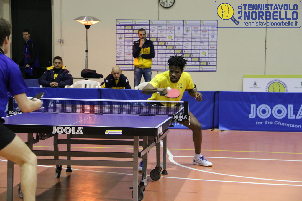 Tennistavolo Norbello: la B femminile non conosce ostacoli, perde la A1 maschile