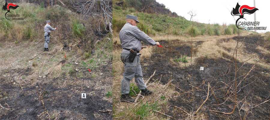 Fiumefreddo (Cs) Carabinieri Forestale: Brucia rifiuti vegetali  provocando incendio. Denunciato