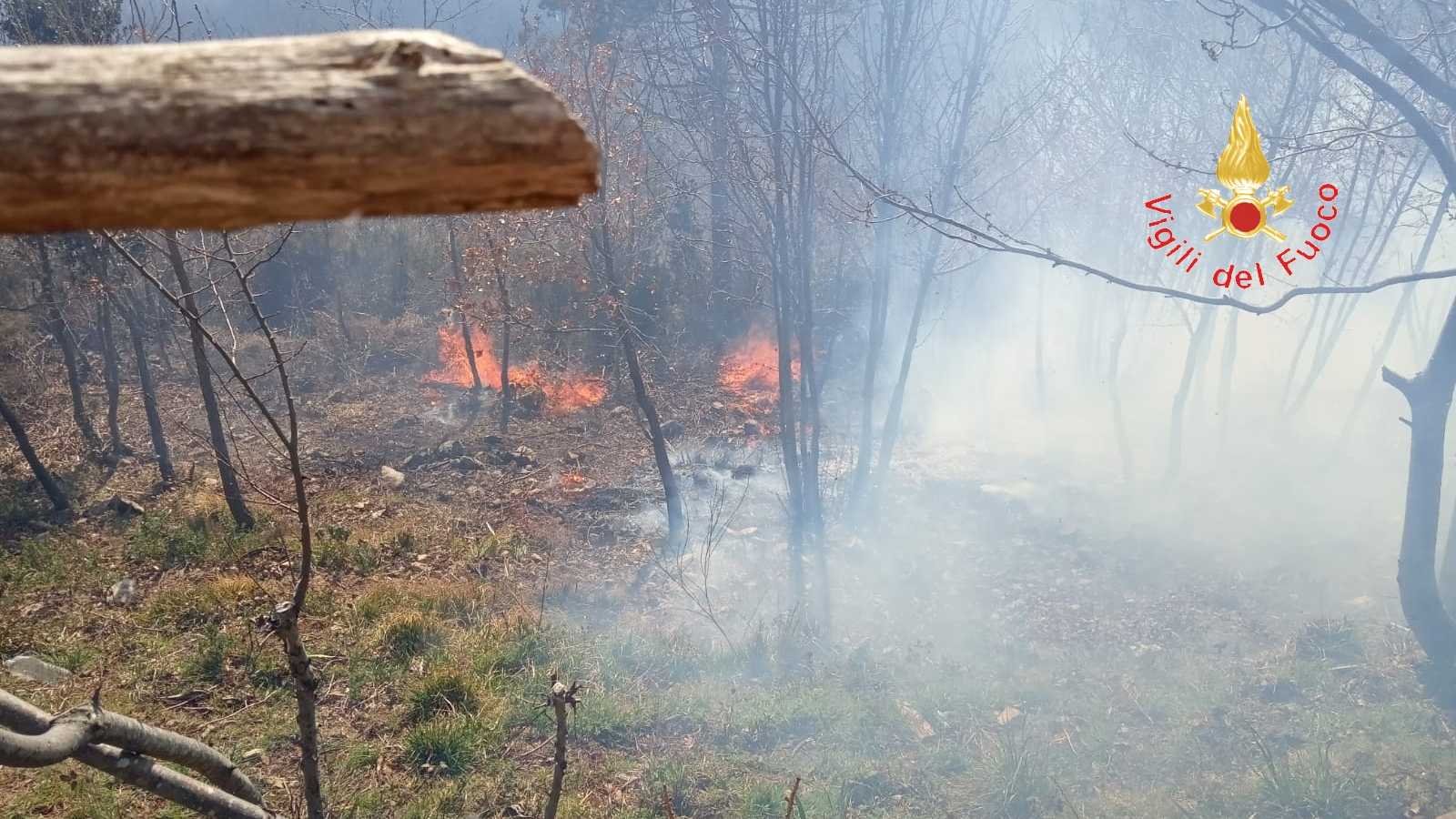 Pauroso incendio nel catanzarese impegnate oltre 20 unità  dei VVF