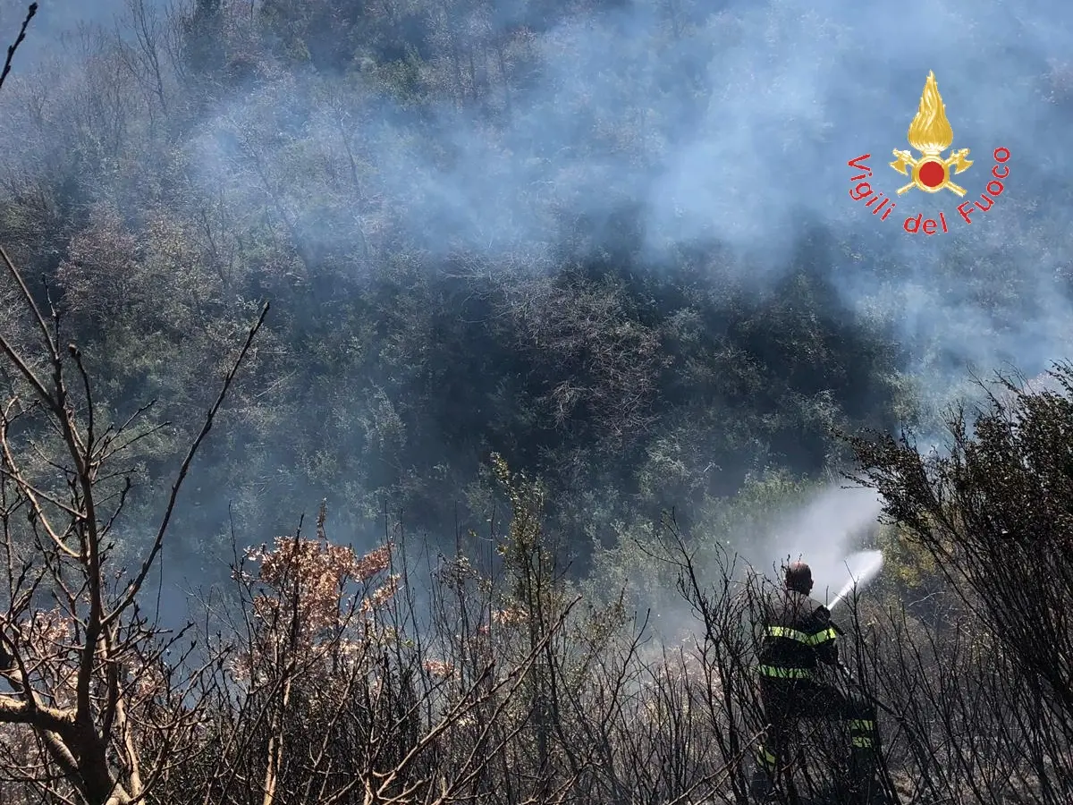 Pauroso incendio nel catanzarese impegnate oltre 20 unità  dei VVF