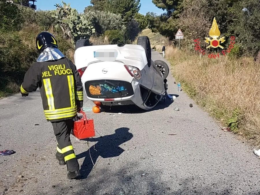 Catanzaro quartiere Alli, cinghiale provoca incidente, intervento dei VVF