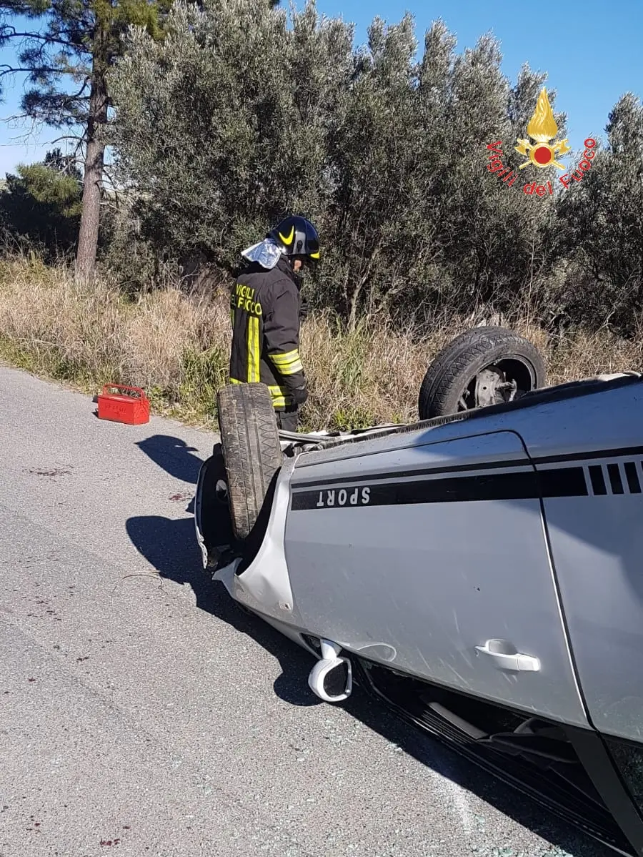 Catanzaro quartiere Alli, cinghiale provoca incidente, intervento dei VVF