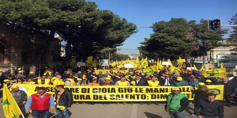 Due manifestazioni a Lecce degli agricoltori sull’emergenza ‘Xylella fastidiosa’