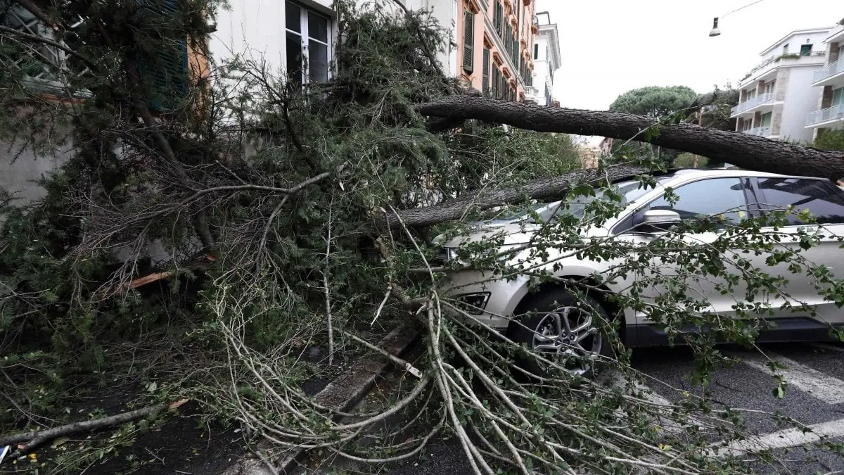 Maltempo: alberi caduti e allagamenti in Romagna