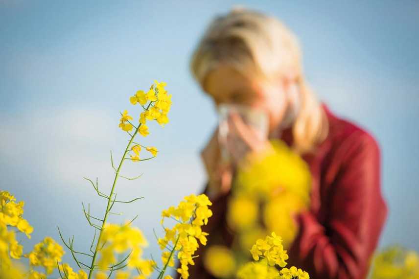 Allergie di primavera: Prevenzione, rimedi e consigli