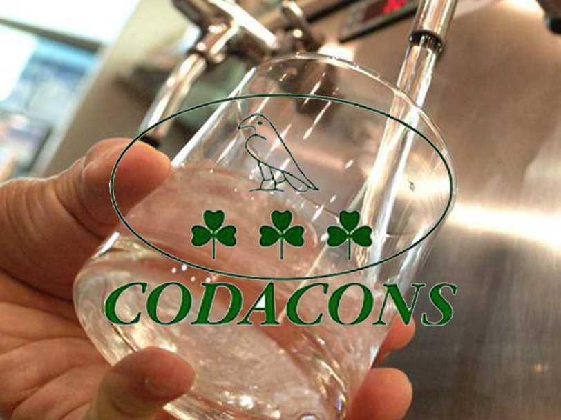 Codacons: L’acqua è potabile, garantisce l’assessore. Replica alla nota del Comune sulla qualità
