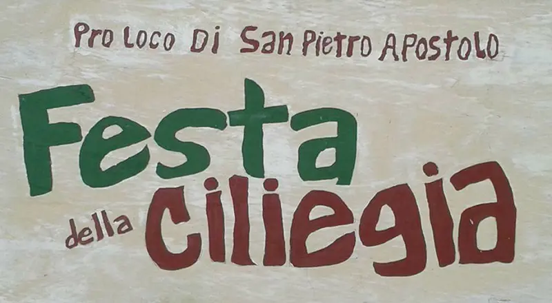 Domenica prossima, 16 giugno a San Pietro Apostolo la XI edizione della  Festa della Ciliegia