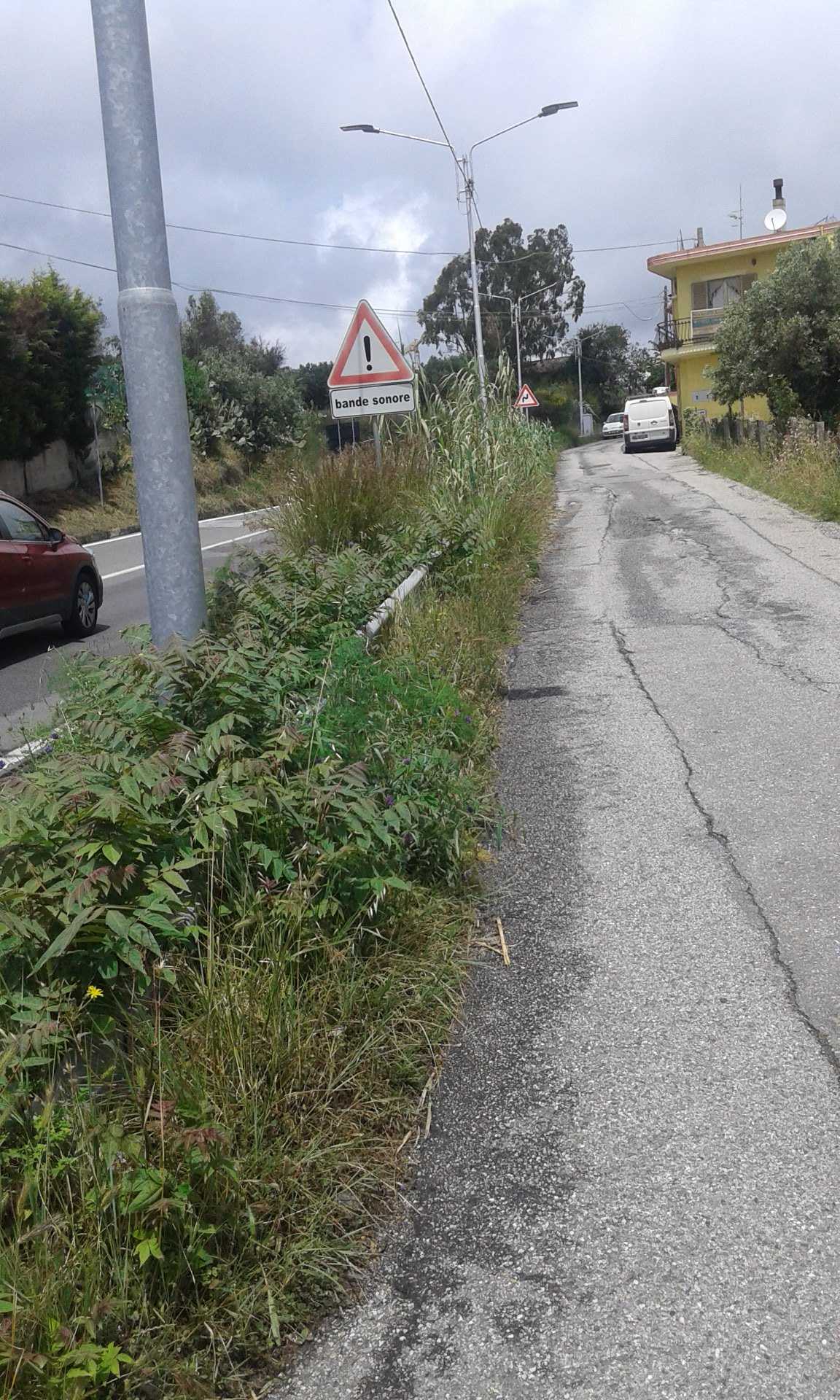 Catanzaro: cittadino denuncia degrado nel q.re Siano. Foto