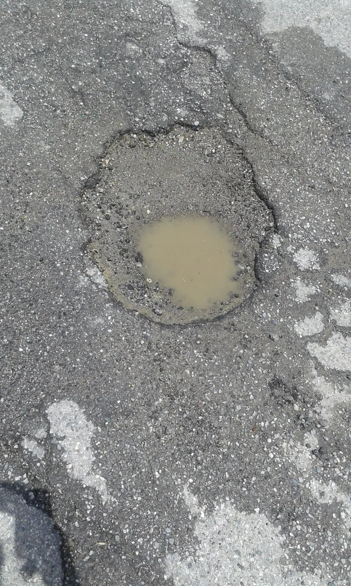 Catanzaro: cittadino denuncia degrado nel q.re Siano. Foto