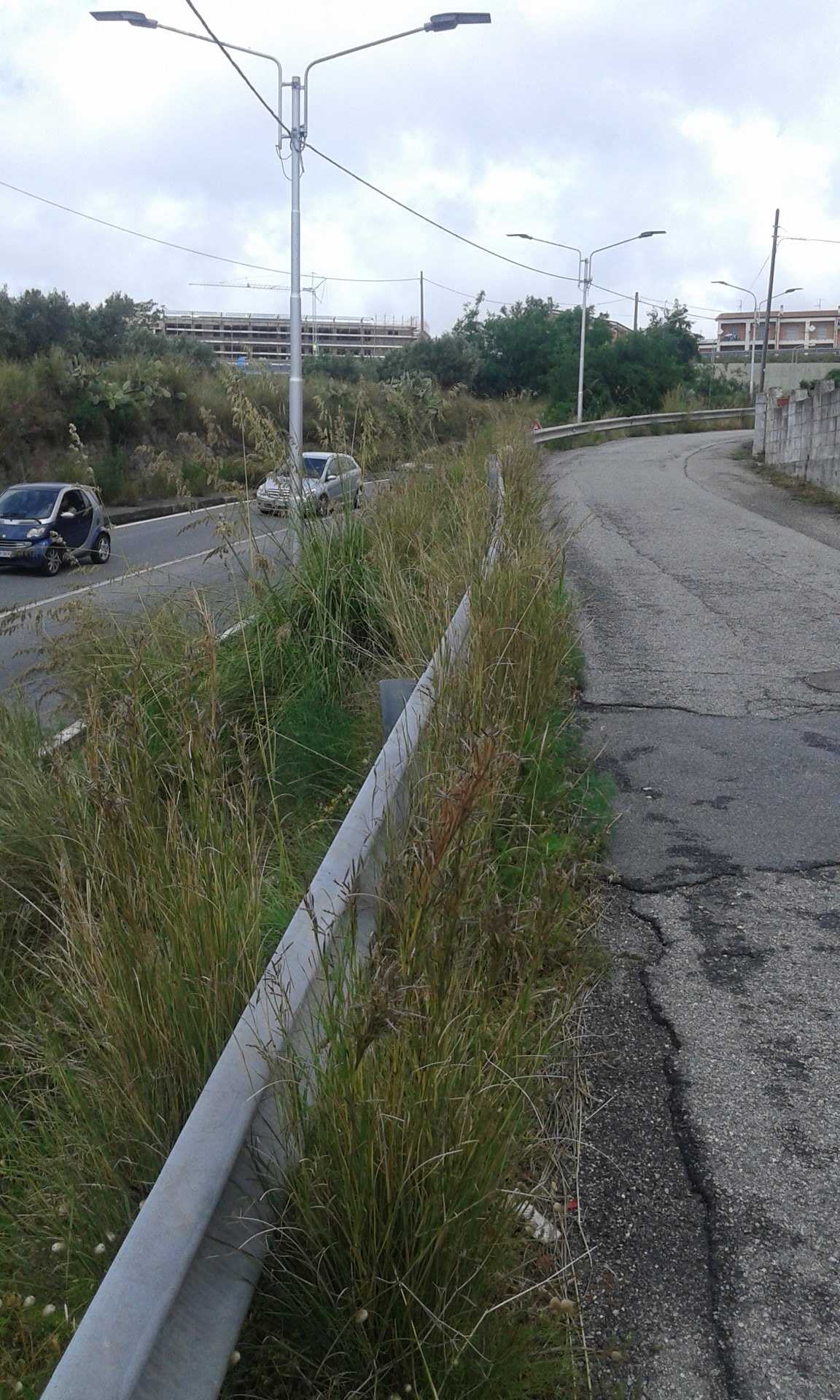 Catanzaro: cittadino denuncia degrado nel q.re Siano. Foto