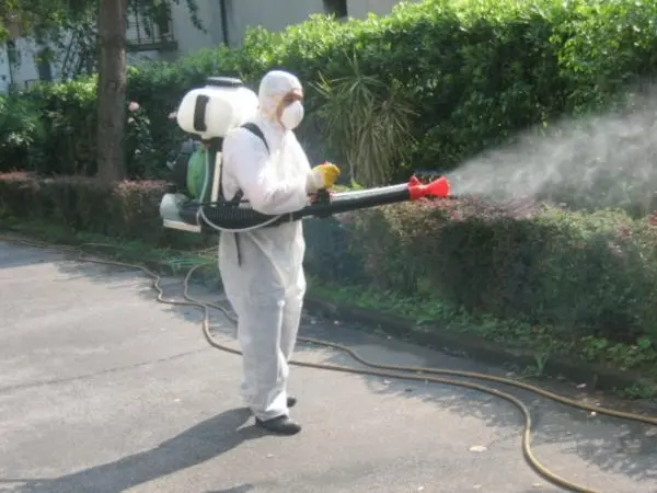 Catanzaro: disinfestazione, quartiere lido, ecco tutti i dettagli