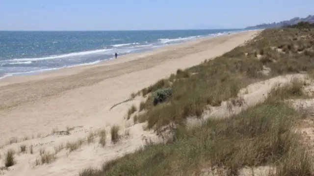 Valencia, donna violentata dal branco su una spiaggia per nudisti: 5 arresti