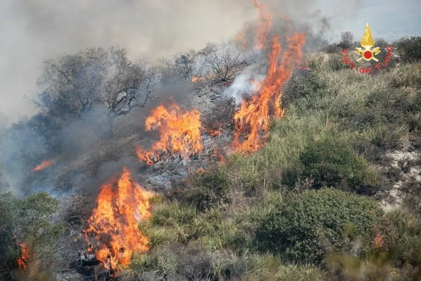 Stalettì (CZ): incendio di vaste proporzioni, intervento di dodici unità dei VVF