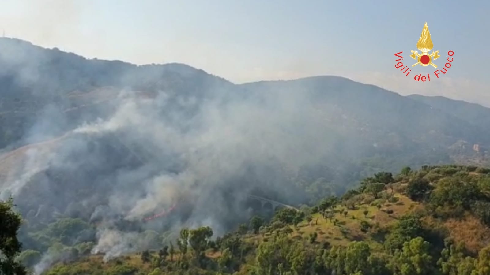 Vasto incendio sulle colline di Catanzaro sul posto i vigili del fuoco