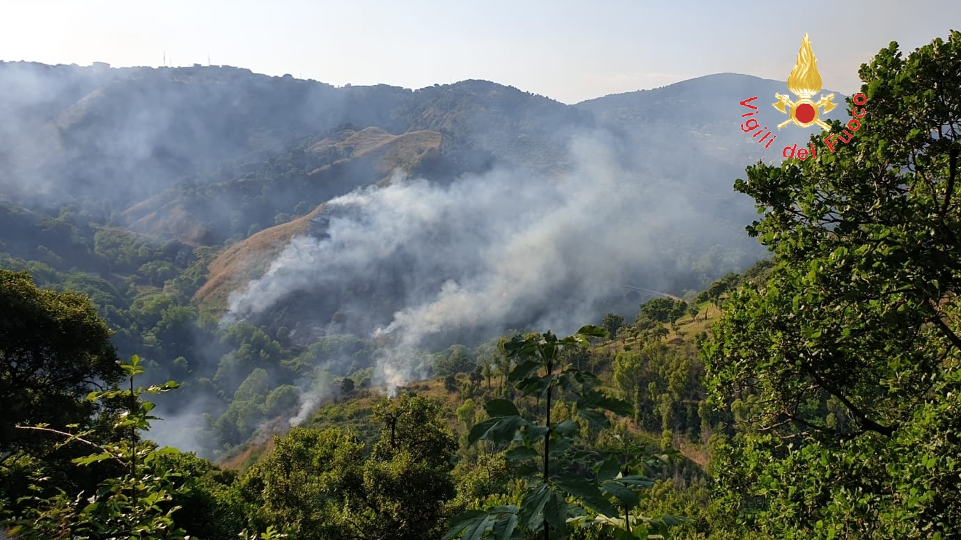 Vasto incendio sulle colline di Catanzaro sul posto i vigili del fuoco