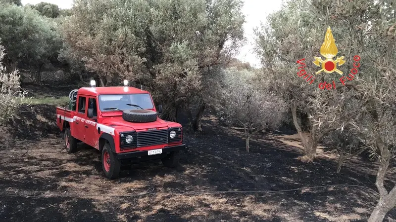 Albi (CZ): I VVF impegnati da ore per domare un vasto incendio di uliveto e macchia mediterranea
