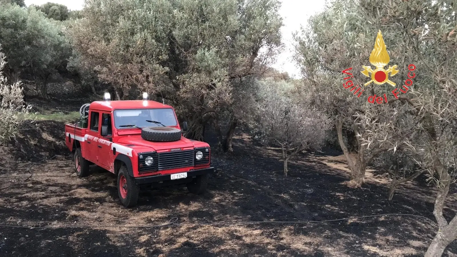 Albi (CZ): I VVF impegnati da ore per domare un vasto incendio di uliveto e macchia mediterranea