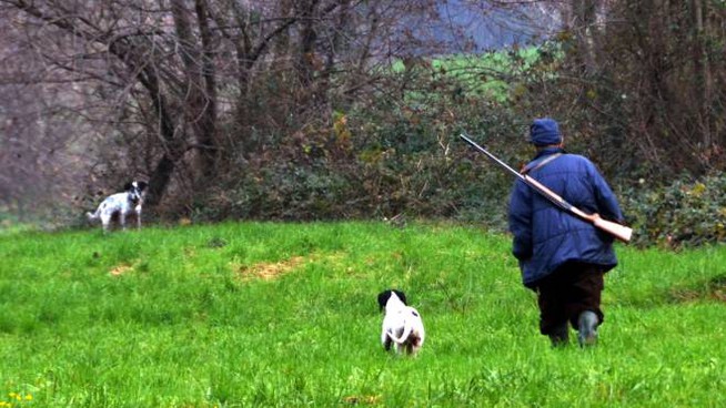Esce per battuta di caccia, trovato morto con colpo a testa