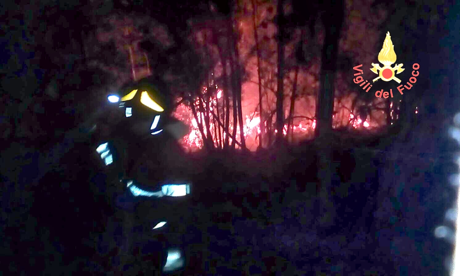 VVF: Avvio della campagna antincendio boschivo 2019