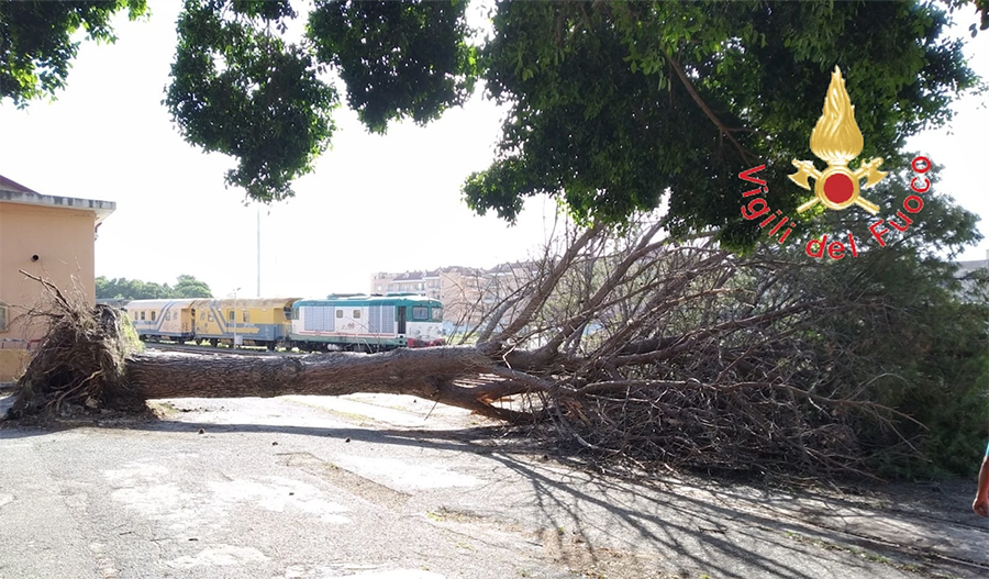 VVF super impegnati nelle zone tra Montepaone, Montauro e Catanzaro (Video)