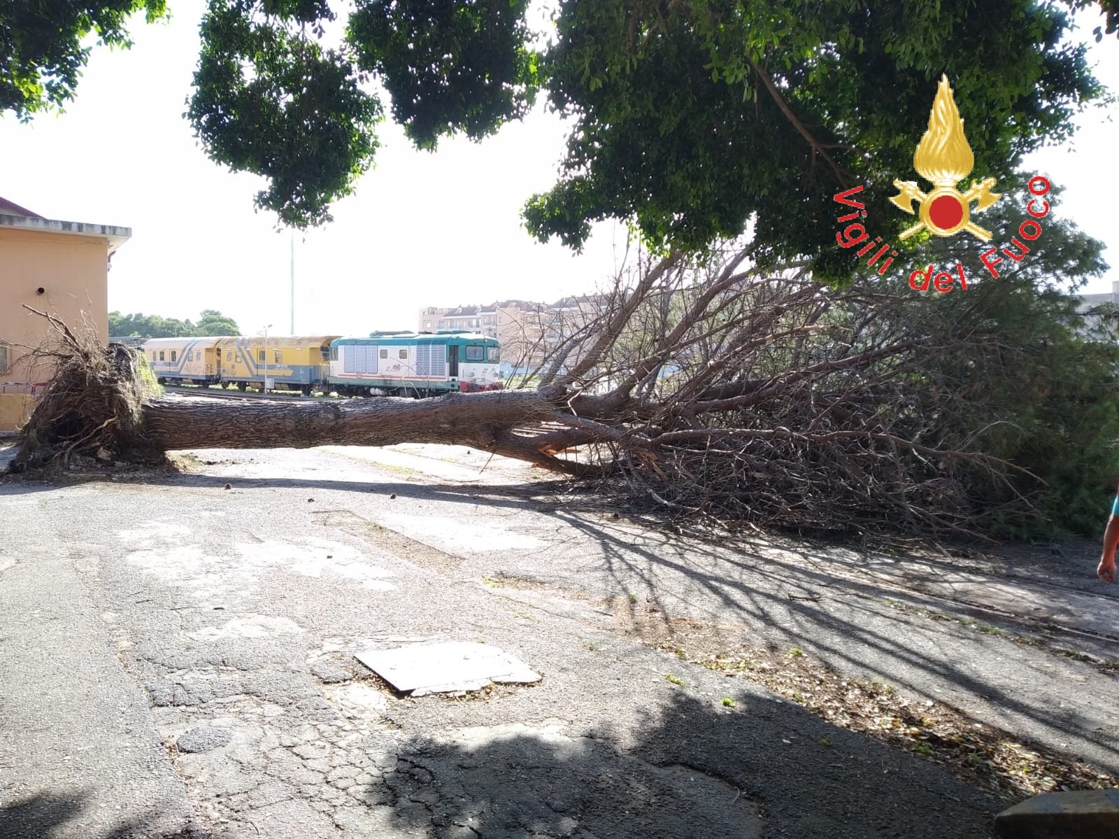 VVF super impegnati nelle zone tra Montepaone, Montauro e Catanzaro (Video)