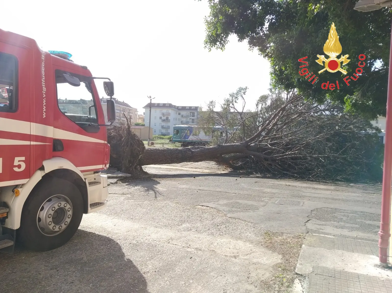 VVF super impegnati nelle zone tra Montepaone, Montauro e Catanzaro (Video)