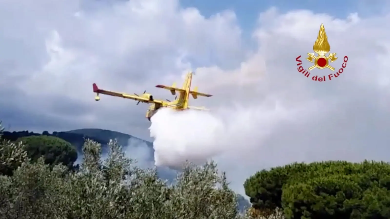 Catanzaro, bruciano le colline della città, sul posto i VVF. Video e Foto