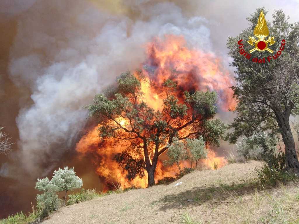 Catanzaro, bruciano le colline della città, sul posto i VVF. Video e Foto