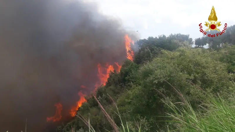 Catanzaro, bruciano le colline della città, sul posto i VVF. Video e Foto