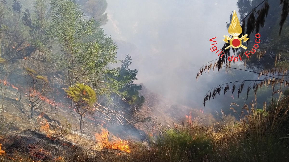 VVF impegnati notte e giorno nella lotta agli incendi boschivi