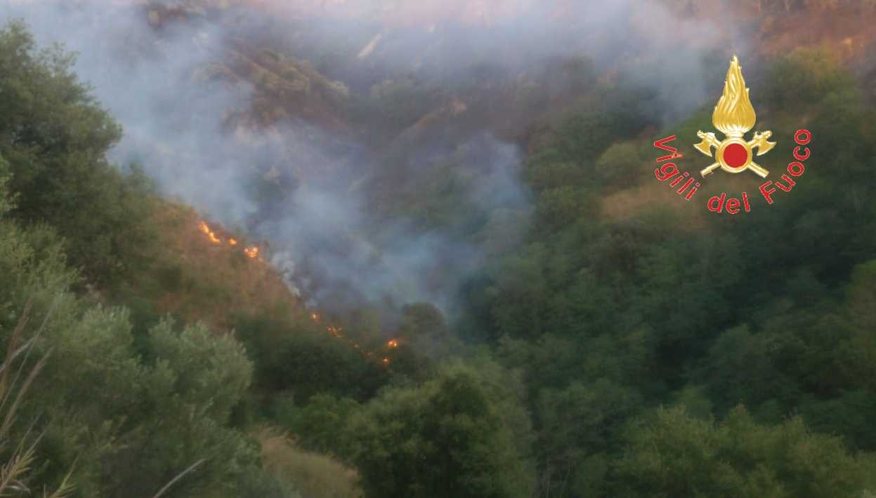 Ancora fiamme sulle colline di Staletti intervento dei VVF