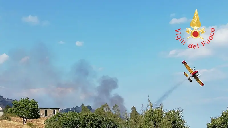 Ancora fiamme sulle colline di Staletti intervento dei VVF