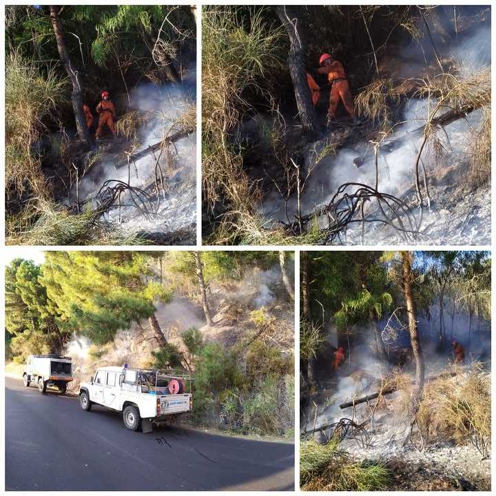 Vasto incendio nei boschi di Tiriolo e San Pietro A. Sette unità dei volontari Diavoli Rossi