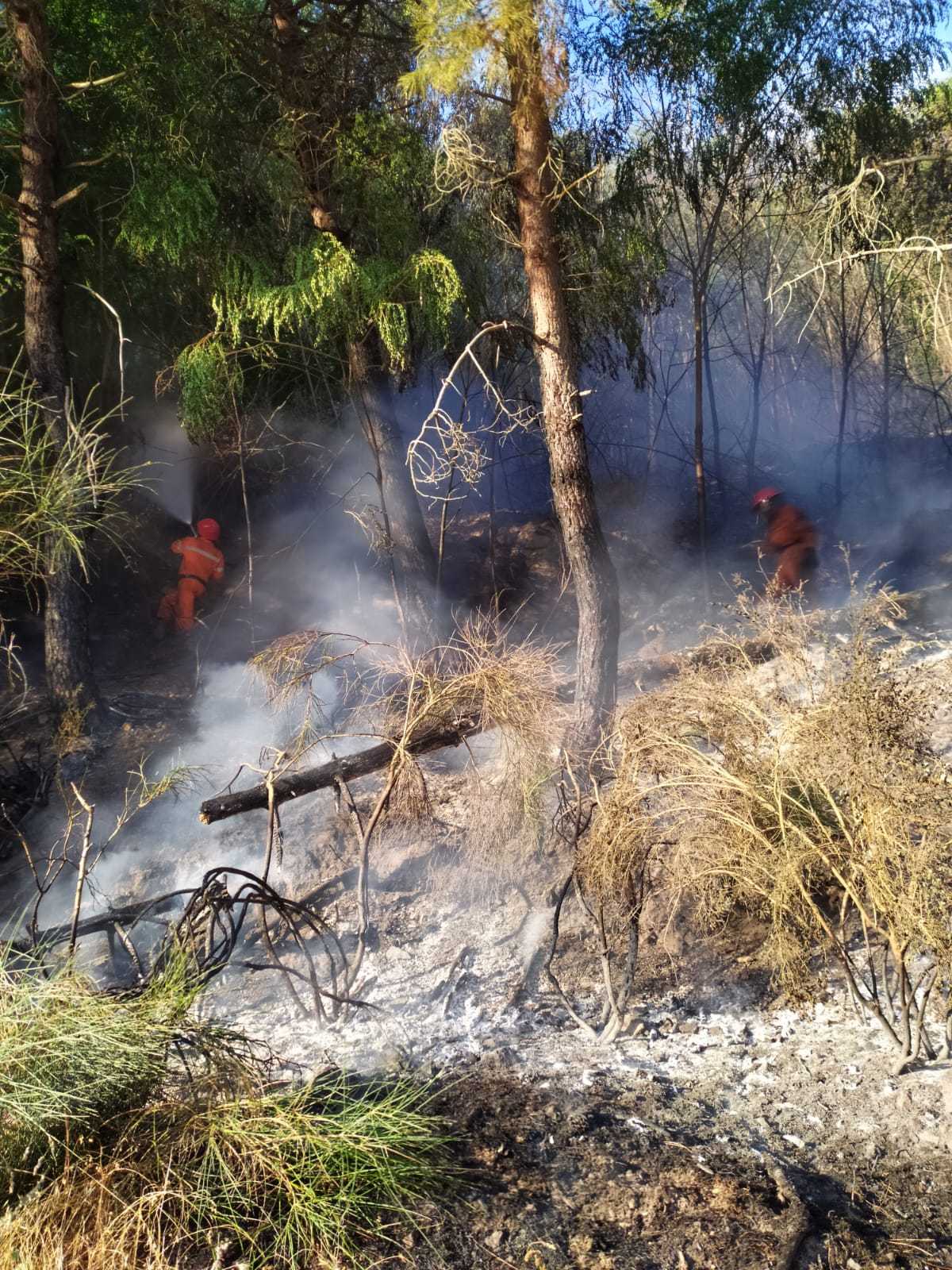 Vasto incendio nei boschi di Tiriolo e San Pietro A. Sette unità dei volontari Diavoli Rossi