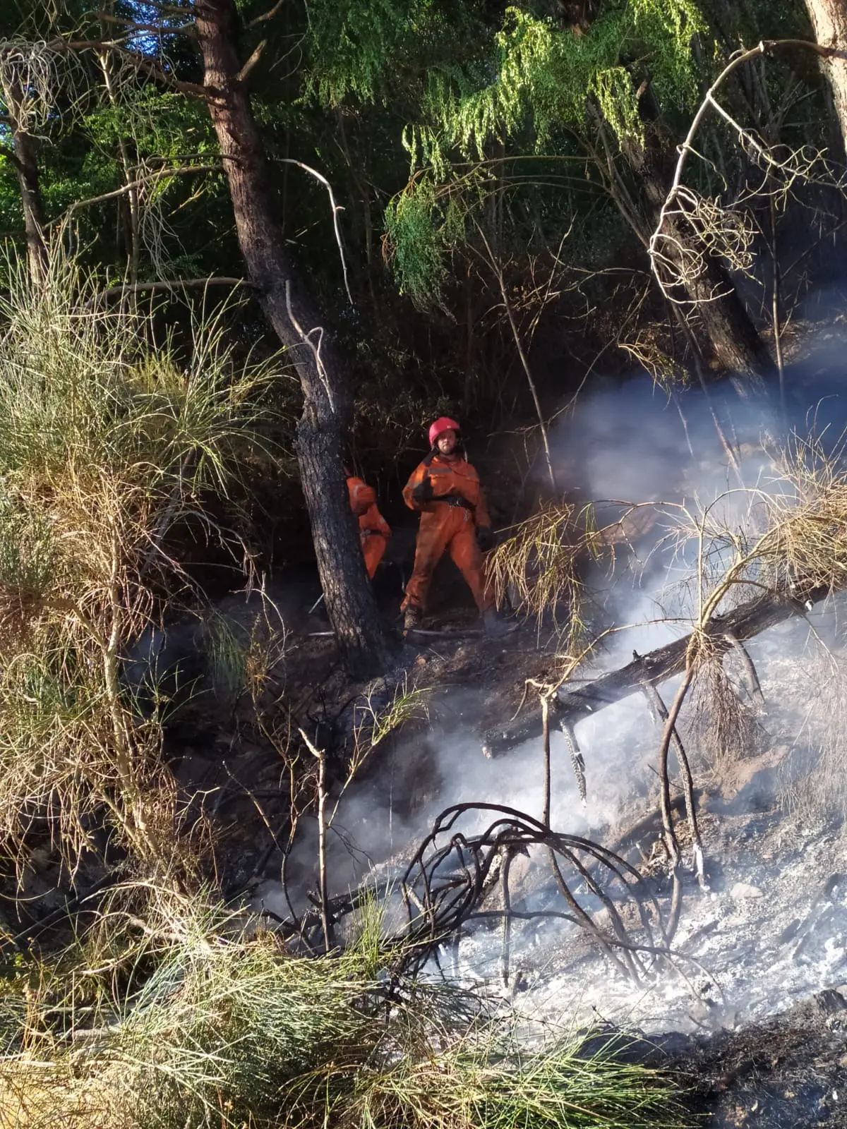 Vasto incendio nei boschi di Tiriolo e San Pietro A. Sette unità dei volontari Diavoli Rossi