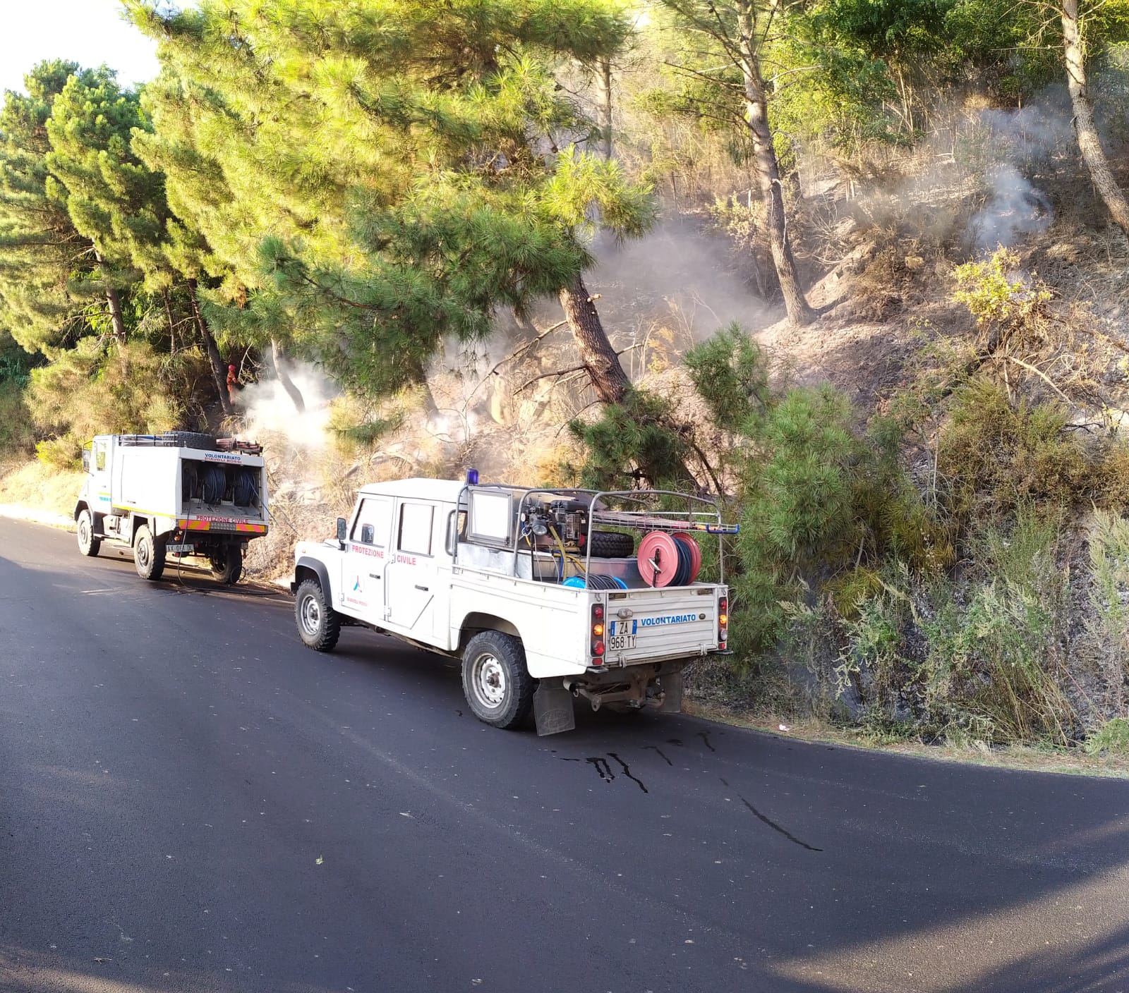 Vasto incendio nei boschi di Tiriolo e San Pietro A. Sette unità dei volontari Diavoli Rossi