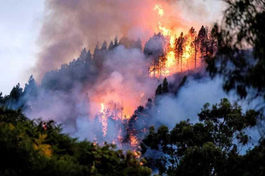 Spagna, incendio a Gran Canaria: evacuate 8mila persone