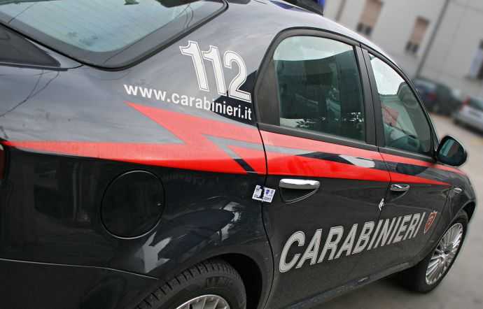 Droga: scoperta piantagione marijuana, un arresto a Curinga. Disoccupato sorpreso dai Cc