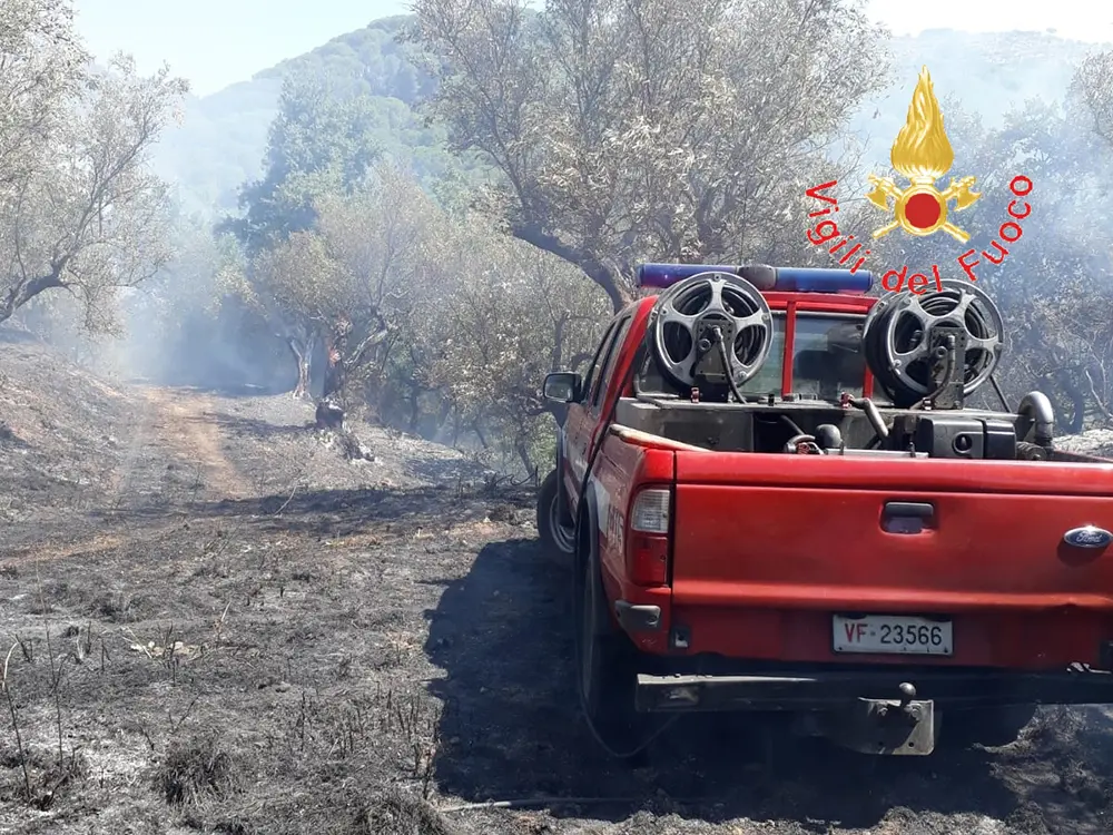 Catanzaro. Incendio di macchia mediterranea lambisce abitazione quartiere Siano