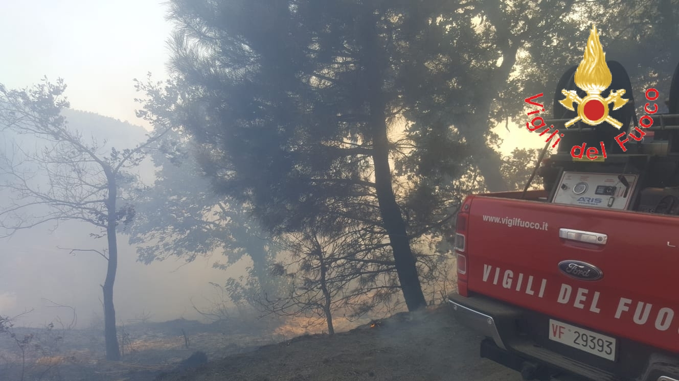 In fiamme le colline di Gimigliano, danneggiate abitazione, sul posto i VVF. Video